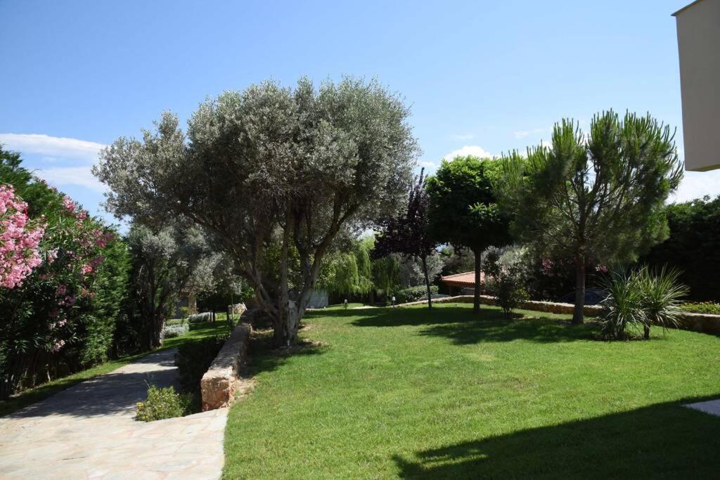 Seaside Villa Andronikos Αμάρυνθος Εξωτερικό φωτογραφία