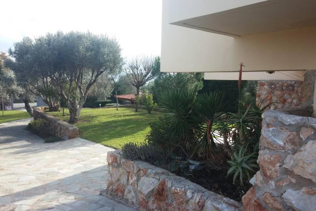 Seaside Villa Andronikos Αμάρυνθος Εξωτερικό φωτογραφία