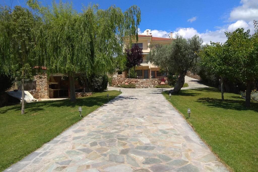 Seaside Villa Andronikos Αμάρυνθος Εξωτερικό φωτογραφία