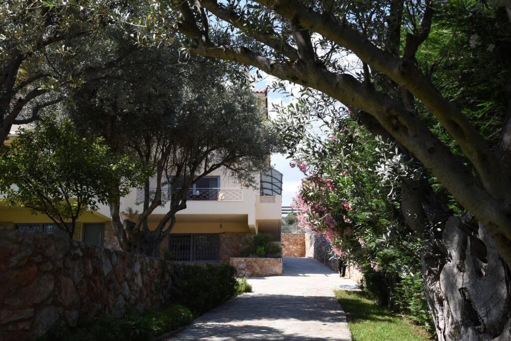 Seaside Villa Andronikos Αμάρυνθος Εξωτερικό φωτογραφία