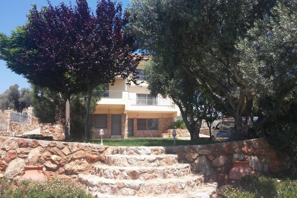 Seaside Villa Andronikos Αμάρυνθος Εξωτερικό φωτογραφία