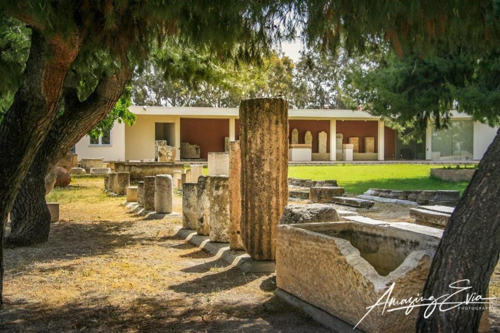 Seaside Villa Andronikos Αμάρυνθος Εξωτερικό φωτογραφία