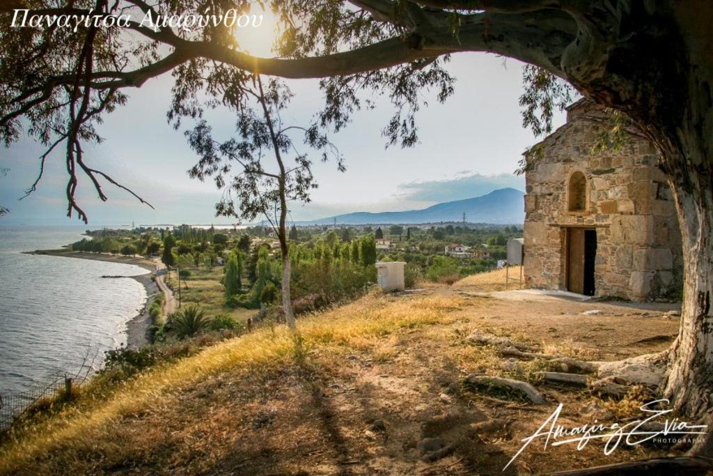 Seaside Villa Andronikos Αμάρυνθος Εξωτερικό φωτογραφία